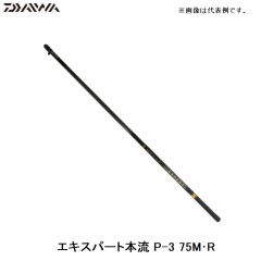 ダイワ（Daiwa）エキスパート本流 P-3 75M･R 