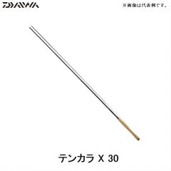 ダイワ（Daiwa） テンカラX 30 