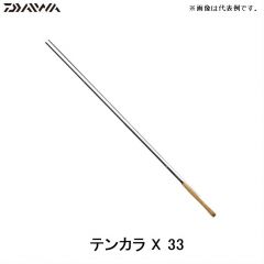 ダイワ（Daiwa） テンカラX 33 