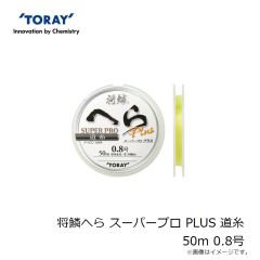 浜田商会　PG ワンステップチョイ投げ セット 15-300(CF2000B)