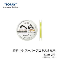 浜田商会　PG ワンステップチョイ投げ セット 15-300(CF2000B)