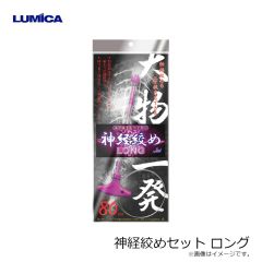 コアマン　IP-25 アイアンプレートハイアンドローSC #008 コンスタンギーゴ