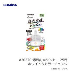 プログレ　バグバレット サーチL 4.0g
