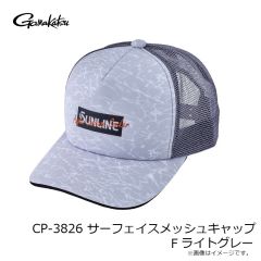 CP-3825 3Dロゴフラットキャップ F ダークグレー