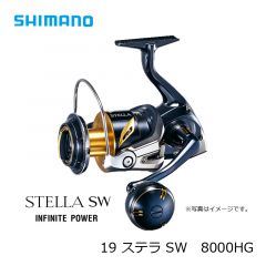 シマノ (Shimano)　19 ステラ SW　8000HG