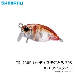 シマノ　TR-230P カーディフ そことろ 30S 05T アイスティー