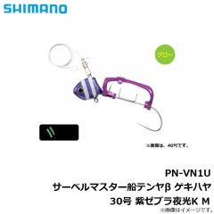 PN-WN1U サーベルマスター船テンヤβ 30号 スーパー夜光
