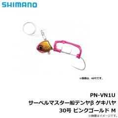 PN-WN1U サーベルマスター船テンヤβ 30号 スーパー夜光
