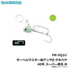 PN-WN1U サーベルマスター船テンヤβ 30号 スーパー夜光

