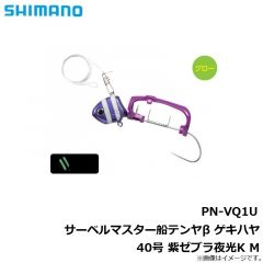 PN-WN1U サーベルマスター船テンヤβ 30号 スーパー夜光
