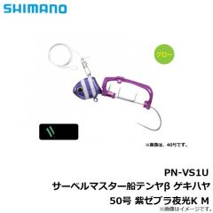 PN-WN1U サーベルマスター船テンヤβ 30号 スーパー夜光
