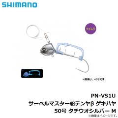 PN-WN1U サーベルマスター船テンヤβ 30号 スーパー夜光
