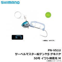PN-WN1U サーベルマスター船テンヤβ 30号 スーパー夜光
