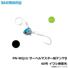 PN-WN1U サーベルマスター船テンヤβ 30号 スーパー夜光
