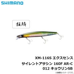 シマノ　XM-116S エクスセンス サイレントアサシン 160F AR-C 009 キョウリンGS