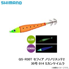 QS-R30T セフィア ノリノリスッテ2 30号 014 ミカンケイムラ