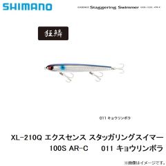 シマノ　XL-210Q エクスセンス スタッガリングスイマー 100S AR-C　001 キョウリンイワシ
