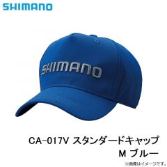 CA-01DV ボアキャップ L カーキ
