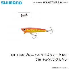 XH-T65S ブレニアス ライズウォーク 65F　010 キョウリンアカキン