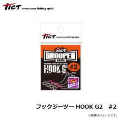 TICT　フックジーツー HOOK G2　#2