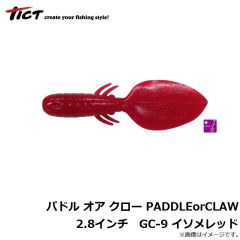 TICT(ティクト)　パドル オア クロー [PADDLEorCLAW]　2.8インチ　GC-8 UV抹茶グリーン