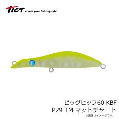 ティクト　アジボッコ 1.5インチ C-37 ドリーム★チーム
