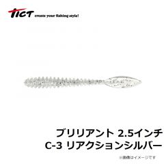 ティクト　ブリリアント 2.5インチ　C-3 リアクションシルバー