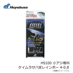 ハヤブサ　HS100 小アジ専科 ケイムラサバ皮レインボー 4-0.8
