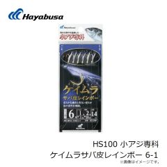 ハヤブサ　HS100 小アジ専科 ケイムラサバ皮レインボー 6-1