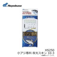 HS250 小アジ専科 夜光スキン 10-3
