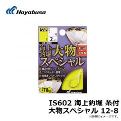 ハヤブサ  IS602 海上釣堀 糸付 大物スペシャル 12-8