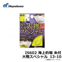 ハヤブサ   IS602 海上釣堀 糸付 大物スペシャル 13-10