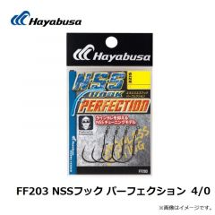 フィナ    FF203 NSSフック パーフェクション　4/0