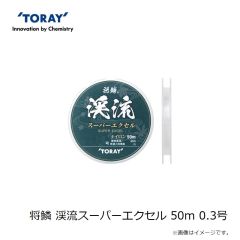 東レ　銀鱗SS スーパーストロング XO 4号