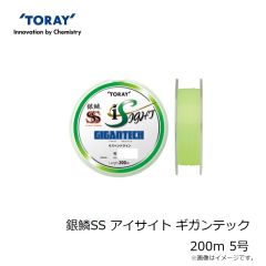 東レ　銀鱗SS アイサイト ギガンテック 200m 5号