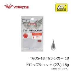 バレーヒル　TGDS-18 TGシンカー 18 ドロップショット (2入) 18g
