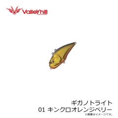 バレーヒル　ギガノトライト 01 キンクロオレンジベリー
