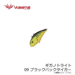 バレーヒル　ギガノトライト 09 BKバックタイガー