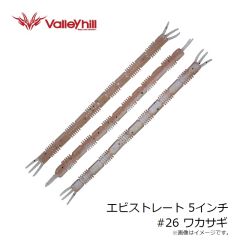 バレーヒル　エビタンク 3.5インチ #24 キングオリーブ