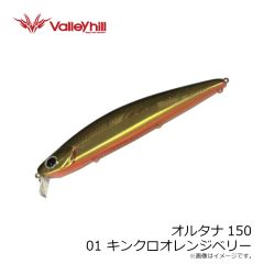 バレーヒル　オルタナ150 01 キンクロオレンジベリー
