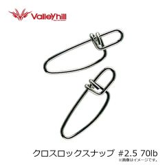 バレーヒル　クロスロックスナップ #2.5 70lb