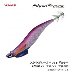 バレーヒル　スクイッドシーカー 30 レギュラー #21RG パープル/パープルホロ