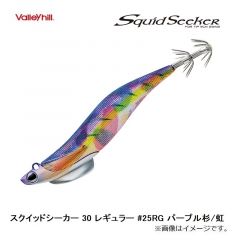 バレーヒル　スクイッドシーカー 30 レギュラー #25RG パープル杉/虹