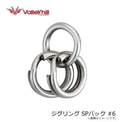 バレーヒル　スクイッドシーカー 30 レギュラー #39RG パープル/杉/緑ホロ