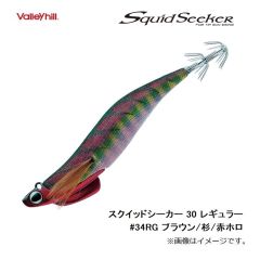 バレーヒル　スクイッドシーカー 30 レギュラー #34RG ブラウン/杉/赤ホロ