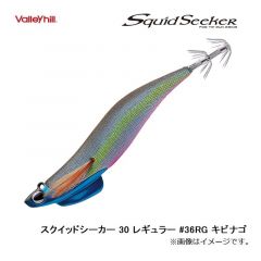 バレーヒル　スクイッドシーカー 30 レギュラー #36RG キビナゴ