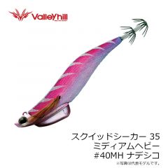 バレーヒル　スクイッドシーカー 35 ミディアムヘビー #40MH ナデシコ