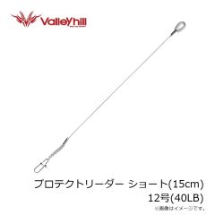 バレーヒル　プロテクトリーダー ショート(15cm) 12号(40LB)