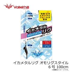 バレーヒル　イカメタルリグ オモリグスタイル 6号 100cm
