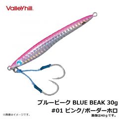 バレーヒル　ブルービーク BLUE BEAK 30g　#01 ピンク/ボーダーホロ